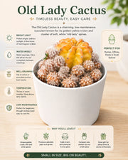 Old Lady Cactus - Nainileaf