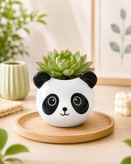 Nainileaf Panda Peek Resin Planter - Nainileaf