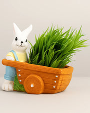 Nainileaf Rickshaw Rabbit Pot (Without Plant)