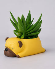 Nainileaf Sleeping Dog 4 inch raisin Pot- (Without Plant) - Nainileaf