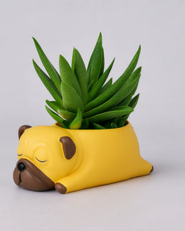 Nainileaf Sleeping Dog 4 inch raisin Pot- (Without Plant)