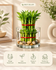 Feng Shui Power Pack